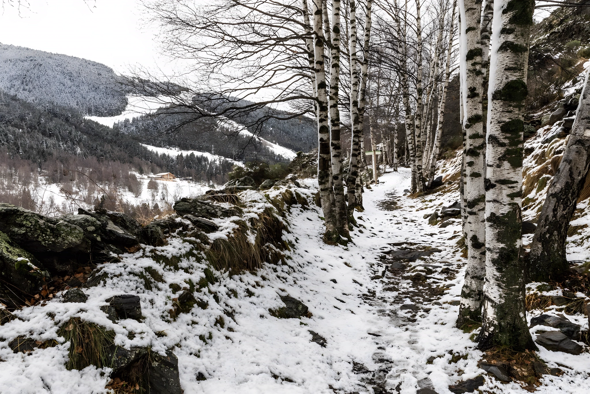 Camino nevado junto al hotel